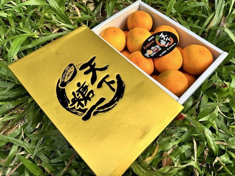 静冈天下糖一蜜柑礼盒 Shizuoka Tenka Touichi Mikan Gift Box