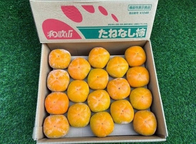 Tone Persimmon Japan とね