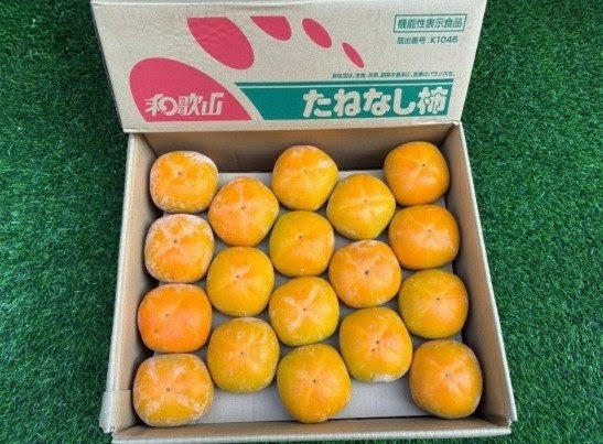 Tone Persimmon Japan とね