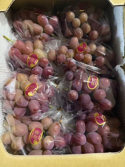 冈山紫苑葡萄 Okayama Shien Grapes