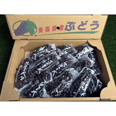 青森Steuben小葡萄 Aomori Steuben Grapes