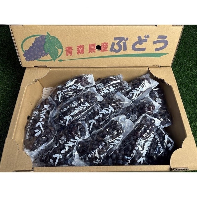 青森Steuben小葡萄 Aomori Steuben Grapes 5kg± (特秀 2L) | Premium Grapes from Aomori | Heng Fruits Singapore