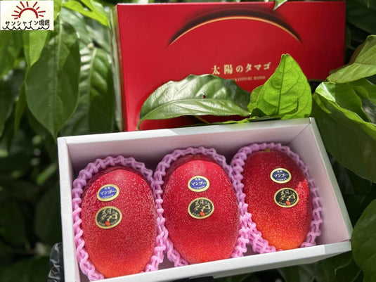 Miyazaki Taiyo no Tamago Mango Gift Box 600g / 3pcs (3L) | Premium Japanese Fruit from Miyazaki | Heng Fruits Singapore|hash:51006946210db7fa8f9de23f10f5cf65