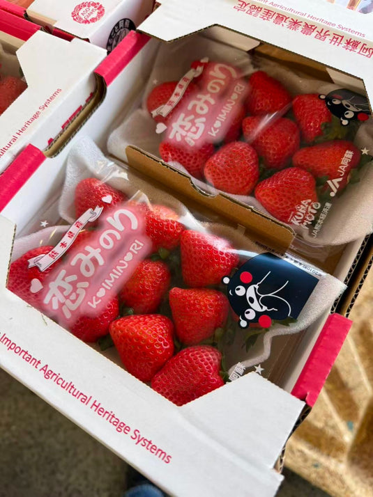 Kumamoto Koiminori Strawberry White Box 260g x2 | Premium Japanese Fruit from Kumamoto | Heng Fruits Singapore|hash:6821c94c961bed2196c77f970550a5d8