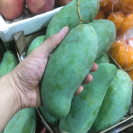 Green Mango - King Mango Heng Fruits