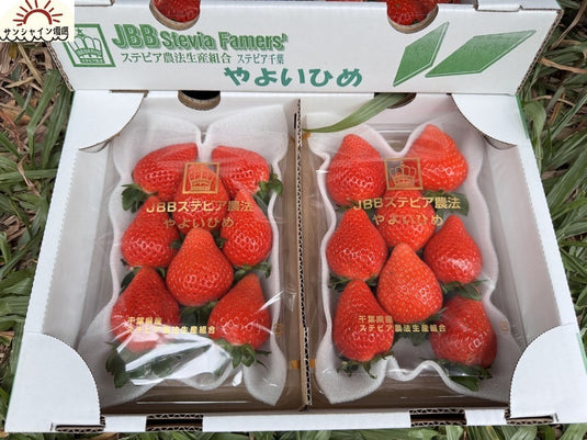 Miyagi Diamond Strawberry 320g x2 | Premium Japanese Fruit from Miyagi | Heng Fruits Singapore|hash:73ebe189a8bf23a586d3aa36574f60ab