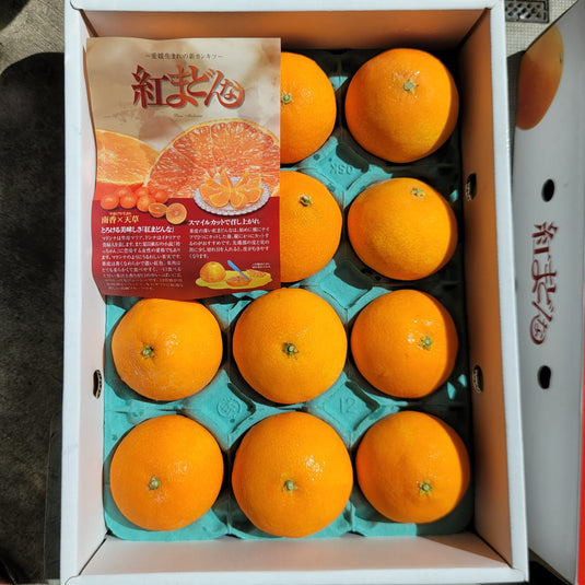 Benni Madonna Japanese Mandarin Oranges 红まどんな Heng Fruits