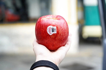 Apple - Envy Heng Fruits