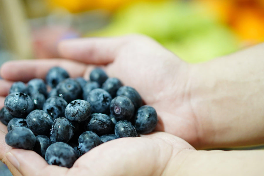 🎪 SC Fair – Jumbo Blueberries