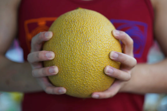 Galia Muskmelon (Australia) Heng Fruits