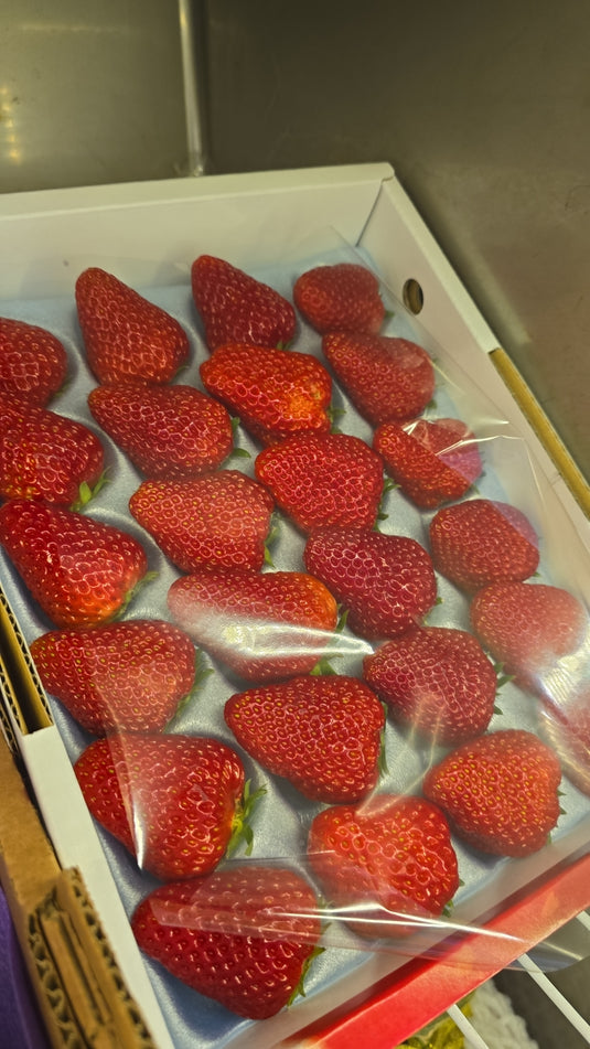 Strawberry (Japan) Heng Fruits