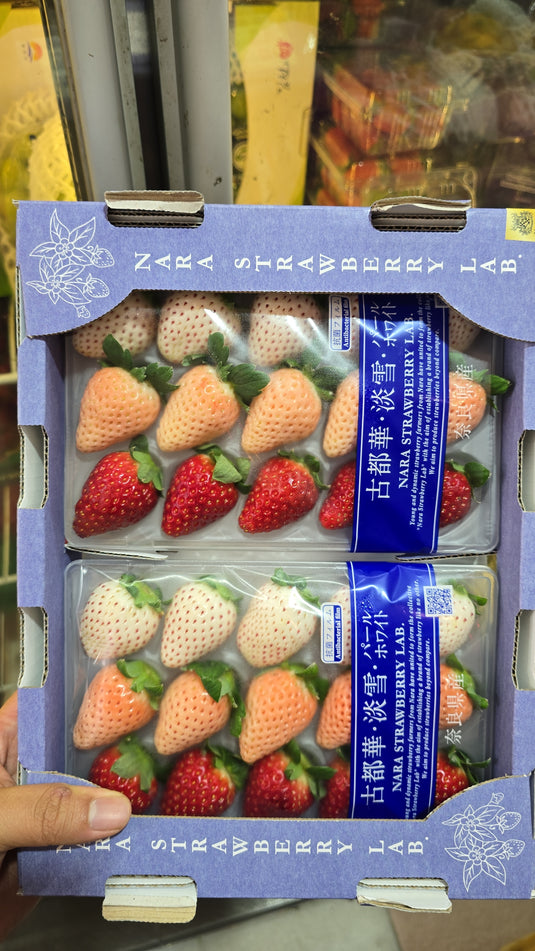 Strawberry (Japan) Heng Fruits