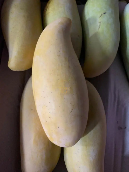 Mango aka Elephant Tooth (Thailand) Heng Fruits