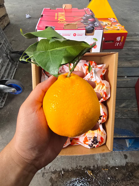 Pre-order : 春见耙耙柑 Papakam Chinese Dekopon Heng Fruits