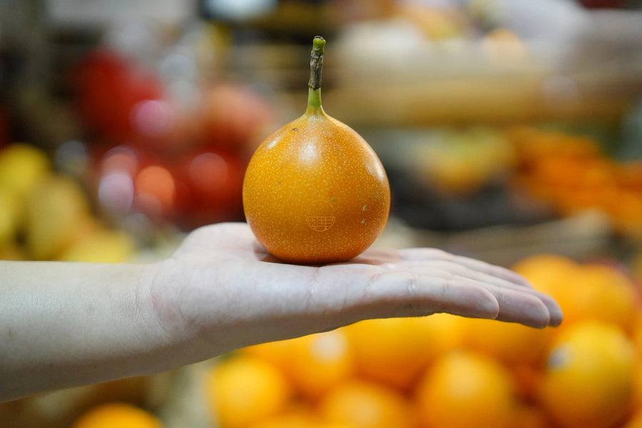 🎪 SC Fair – Ecuador Passionfruit