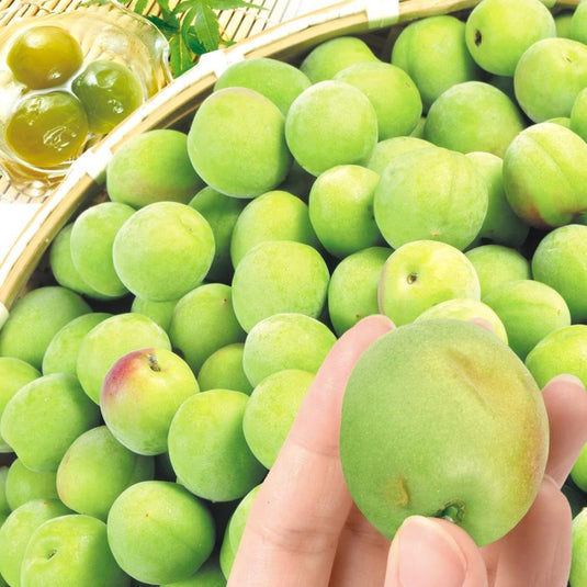 和歌山南高梅 Wakayama Plum Nanko Ume 1kg | Premium Japanese Plum from Wakayama | Heng Fruits Singapore