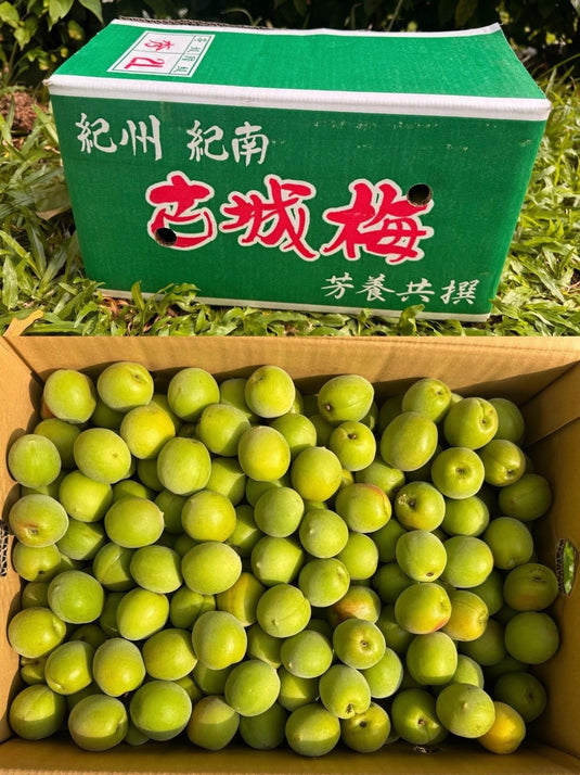 和歌山南高梅 Wakayama Plum Nanko Ume 10kg | Premium Japanese Plum from Wakayama | Heng Fruits Singapore