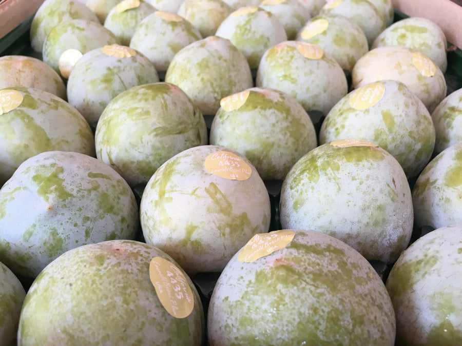 🎪 SC Fair – Dino Egg Plums
