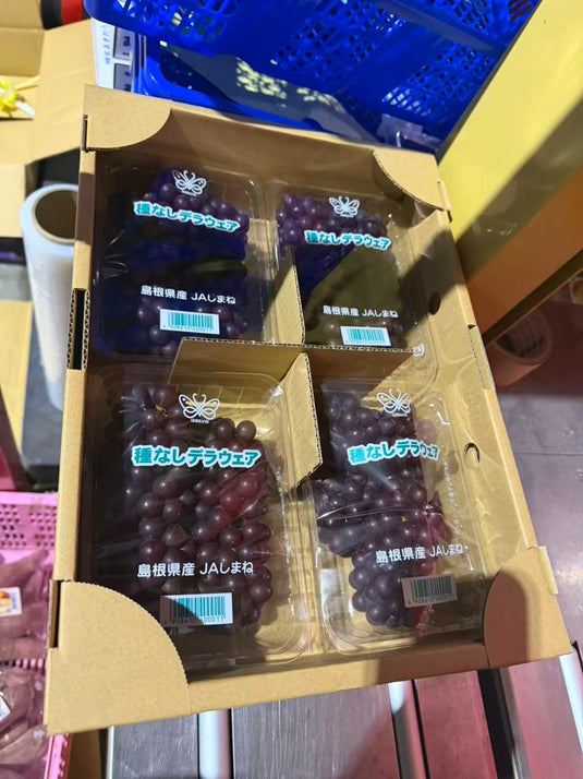 Simane Delawa Grapes 350g x4 | Premium Japanese Fruit from Shimane | Heng Fruits Singapore|hash:af44bfbea989c8fb50bb96d51be9f422