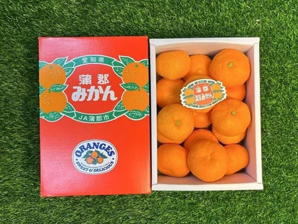 Aichi Gamagori Mikan premium Japanese mandarin orange gift box Singapore | Heng Fruits