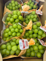 Nagano Shine Muscat 5kg (8bunches) | Premium Japanese Fruit from Nagano | Heng Fruits Singapore|hash:cfdce88eff9708befe1edb95c9fa7617