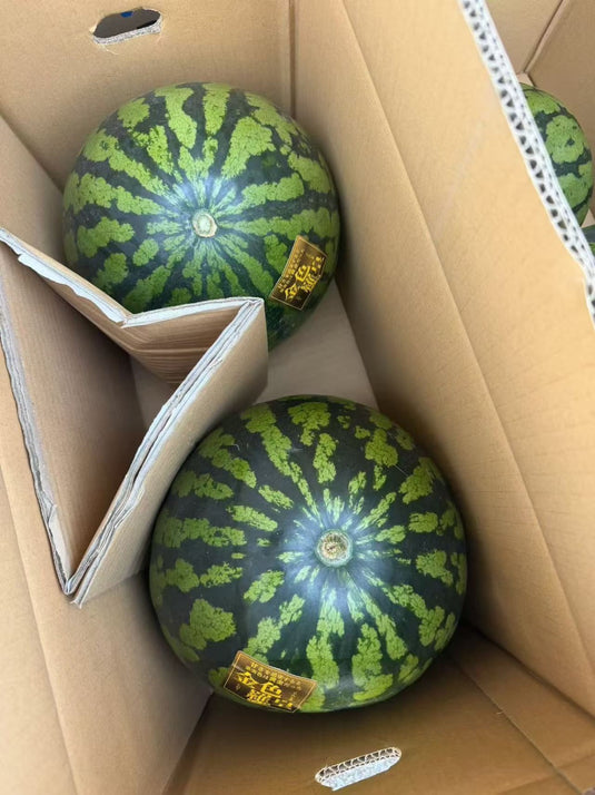 Kumamoto Lohas Watermelon 7kg / 2pcs | Premium Japanese Fruit from Kumamoto | Heng Fruits Singapore|hash:de447d124b242ed965c78c37527e8778