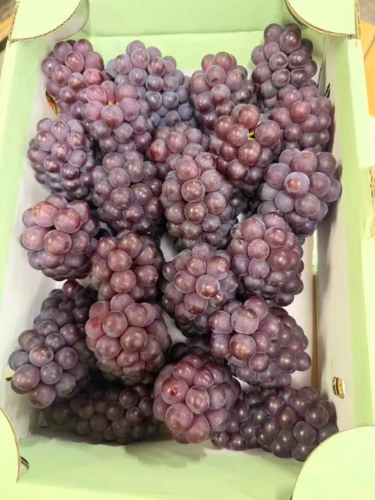 Yamanashi Delawa Grapes 2kg | Premium Japanese Fruit from Yamanashi | Heng Fruits Singapore|hash:ea7f0575d3762567d14fc6ba9088b121
