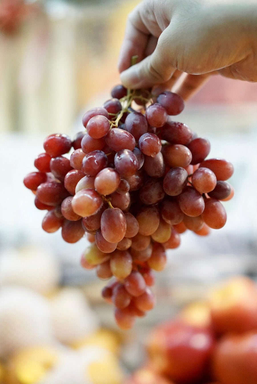 🎪 SC Fair – Red Grapes