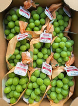 Nagano Shine Muscat premium Japanese green grapes Singapore | Heng Fruits
