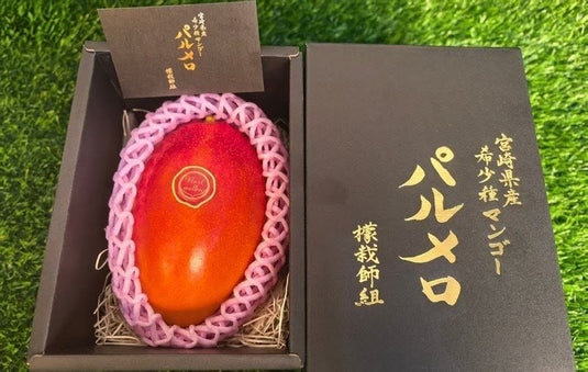 Miyazaki Palmelor Mango 1pc premium black gift box Singapore | Heng Fruits
