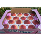 （大糖领）山梨笛吹桃 日川白鳳 Yamanashi Fuefuki Hikawa Hakuhou Peach Daitoryo 5kg Gift Box | Premium Japanese Peach from Fuefuki Yamanashi | Heng Fruits Singapore