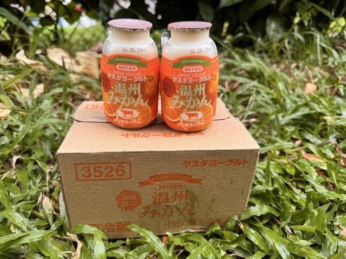 安田温州蜜柑酸奶Yasuda Satsuma Mandarin Yogurt