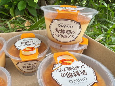 鸡蛋布丁Egg Pudding
