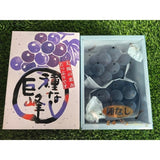 福冈種無巨峰礼盒 Fukuoka Seedless Kyoho Grape Gift Box 800g | Premium Japanese Grapes from Fukuoka | Heng Fruits Singapore