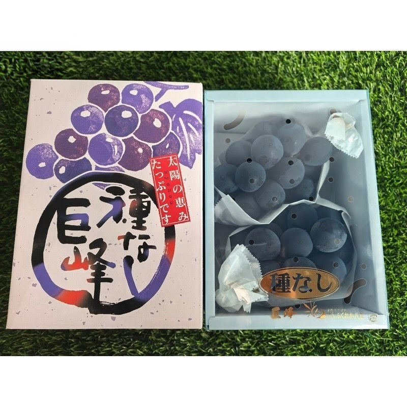 福冈種無巨峰礼盒 Fukuoka Seedless Kyoho Grape Gift Box