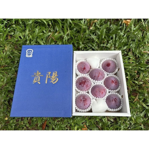 山梨贵阳李子 Yamanashi Kiyou Plum