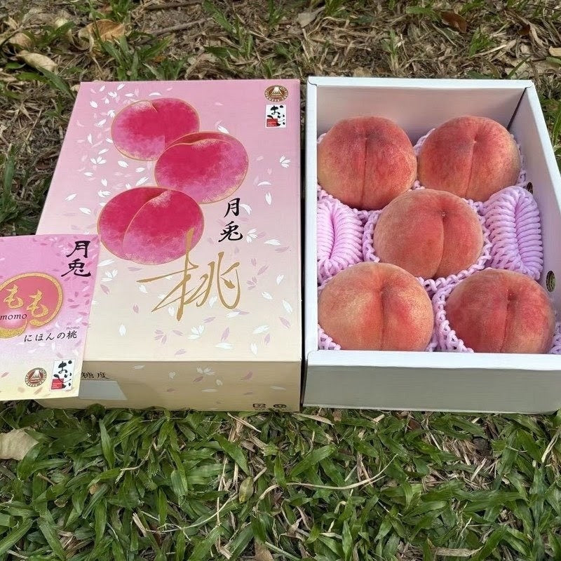 山梨月兔桃 Yamanashi Moon Rabbit Peach