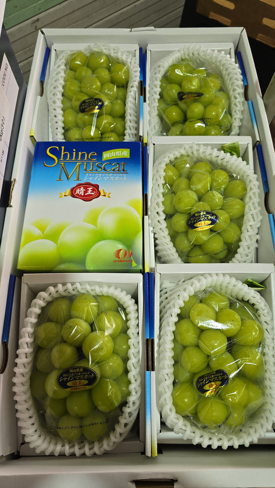 Grape - Shine Muscat Heng Fruits