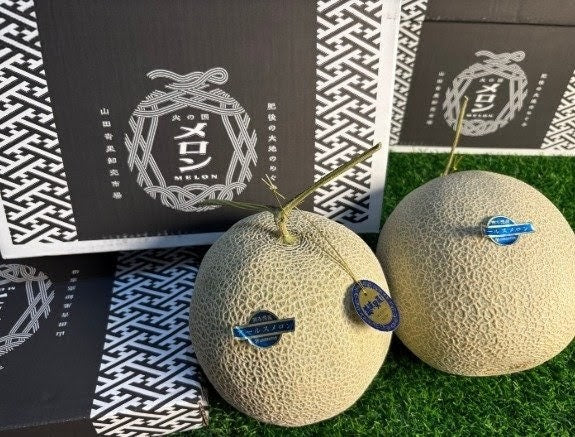 熊本赤肉蜜瓜 Kumamoto Red Flesh Melon