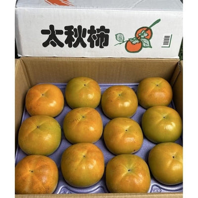 爱媛太秋柿 Ehime Taishu Persimmon 4kg | Premium Persimmon from Ehime | Heng Fruits Singapore
