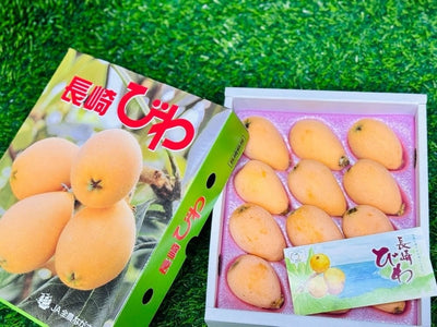 千叶大房枇杷礼盒 Chiba Obussa Biwa Loquat Gift Box 1kg 秀 2L | Premium Japanese Loquat from Chiba | Heng Fruits Singapore