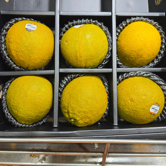 Chocolate Orange Heng Fruits