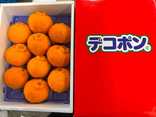 香川尖头柑 Kagawa Dekopon Heng Fruits