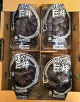 福冈種無巨峰礼盒 Fukuoka Seedless Kyoho Grape Gift Box