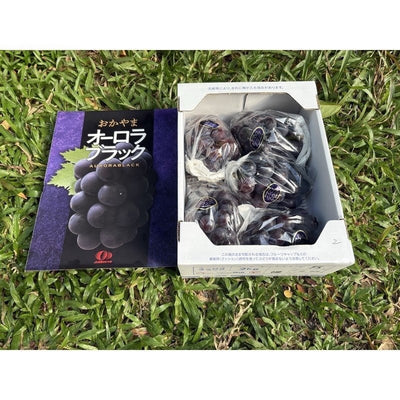 冈山黑光葡萄 Okayama Aurora Black Grapes 2kg | Premium Grapes from Okayama | Heng Fruits Singapore