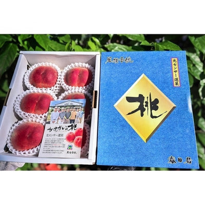 山梨春日居桃 日川白鳳 Yamanashi Kasugai Hikawa Hakuhou Peach 2kg | Premium Japanese Peach from Yamanashi | Heng Fruits Singapore