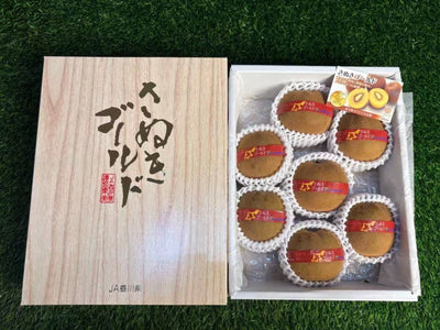 香川讃岐黄金奇异果 Kagawa Sanuki Gold Kiwi 1.5kg | Premium Gold Kiwi from Kagawa | Heng Fruits Singapore