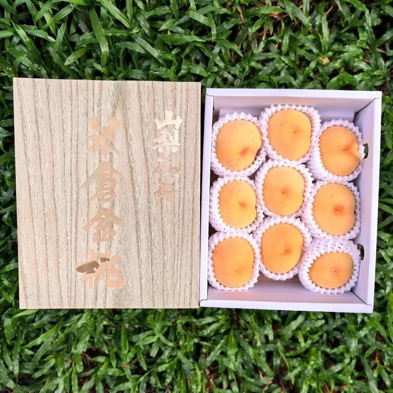 山梨米倉黄金桃 Yamanashi Yonekura Golden Peach
