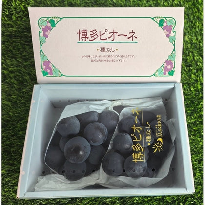 福冈ピオーネ葡萄礼盒 Fukuoka Pione Grape Gift Box 800g | Premium Japanese Grapes from Fukuoka | Heng Fruits Singapore