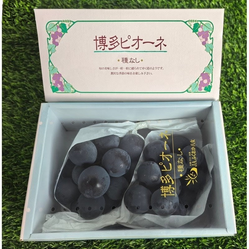 福冈ピオーネ葡萄礼盒 Fukuoka Pione Grape Gift Box